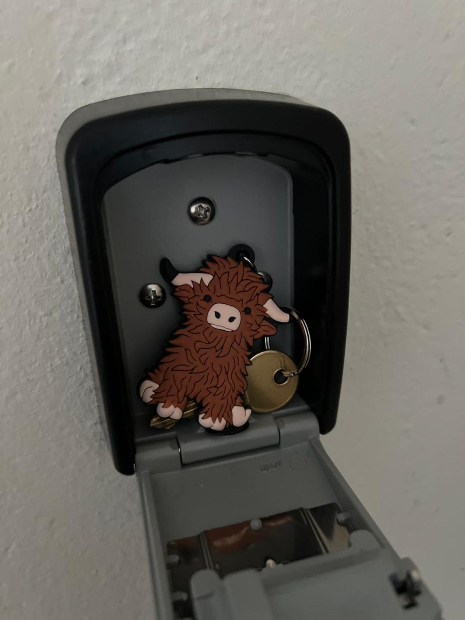 The Heilan' Coo *
